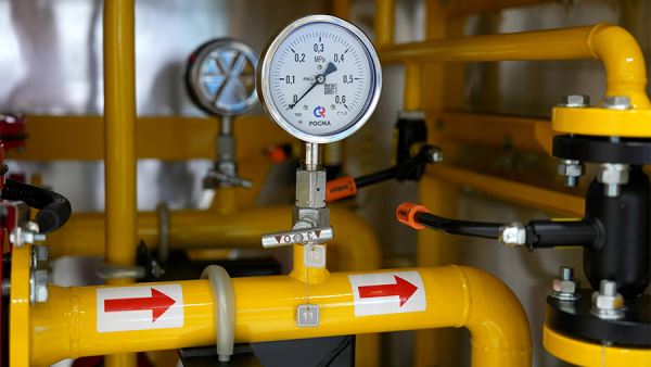 Глава Qatar Energy выразил недоумение решением ЕС отказаться от российского газа