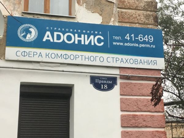 Судимая 70-летняя экс-главбух &laquo;Страховой фирмы "Адонис"&raquo; погасила 86 млн р. ущерба