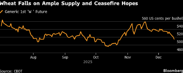 Цена пшеницы в Чикаго опустилась до самого низкого уровня с конца октября