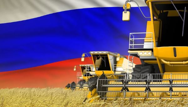 Россия нарастила экспорт сельхозпродукции в ЕАЭС на 17% за 9 месяцев 2025 года