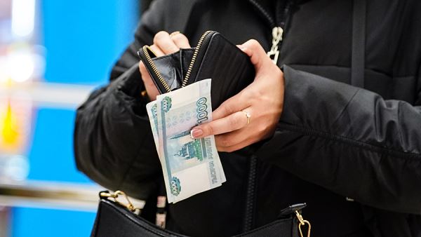 В исследовании рассказали о желании россиян увеличить доход