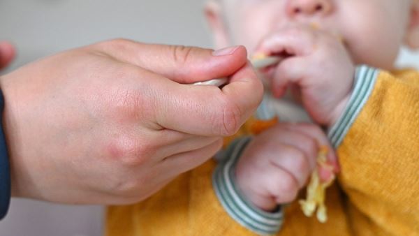 Экономист оценила идею отмены испытательного срока для мам с детьми до трех лет